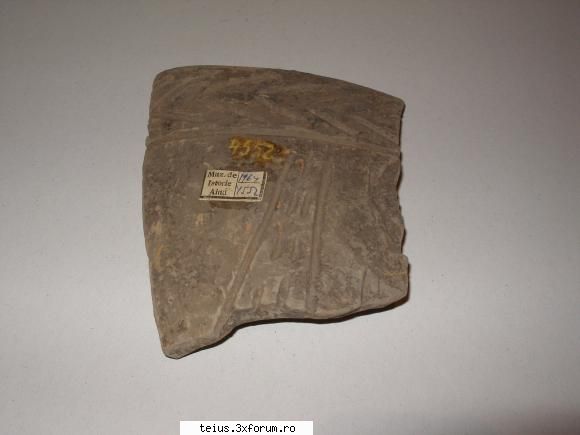 sapaturi fragment vas muzeul istorie aiud