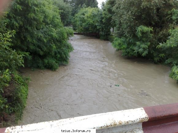 1 27.07.2010 - inundatii in teius