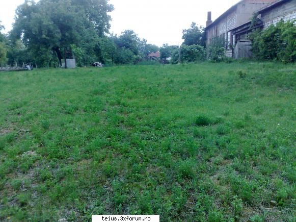 str. decebal 29.06.2009
