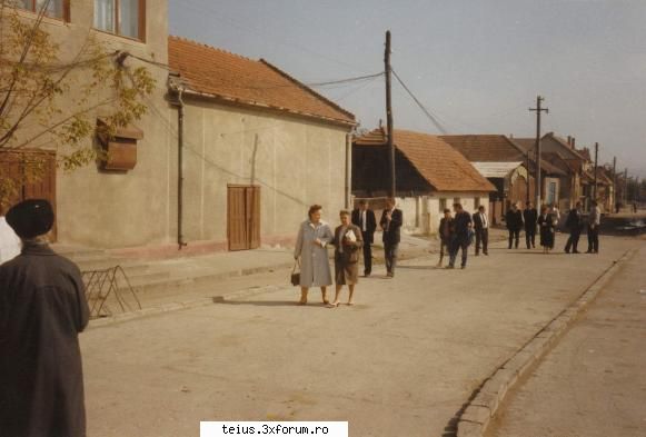 29 arnemuiden help teius (starting from 1990)
