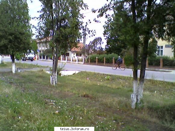teius blog romania 2007 - q-bic