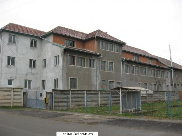 pielaria din teius blog romania 2008 - george costea