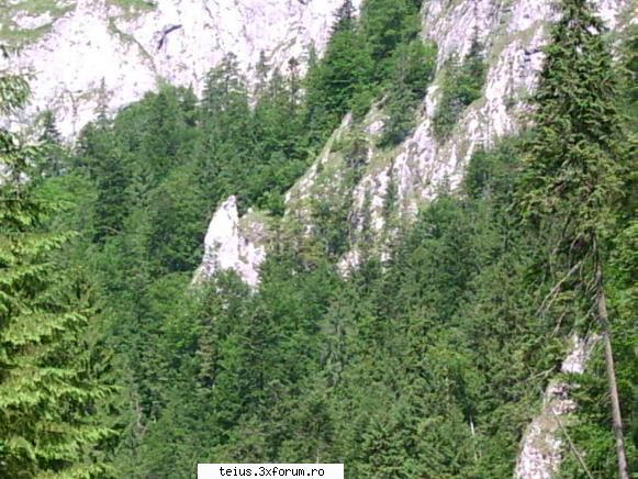 intregalde intregalde