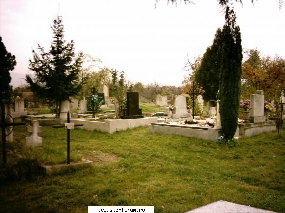 cimitirul din teius poze de prin teius ... 