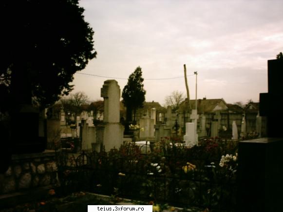 cimitirul din teius poze de prin teius ... 