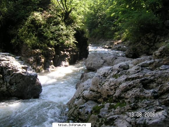 cheile rametului ramet