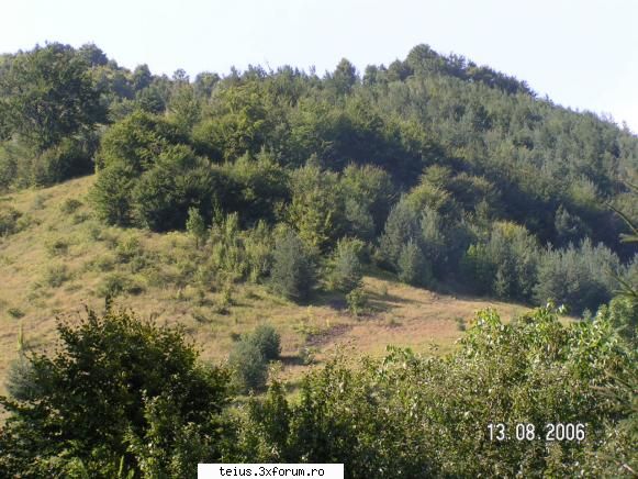 cheile rametului ramet