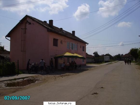 sc. cristea srl teius poza s.c cristea srl