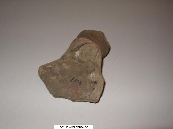 7 - fragment de vas muzeul de istorie aiud sapaturi