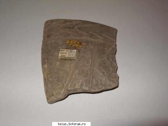 12 - fragment de vas muzeul de istorie aiud sapaturi