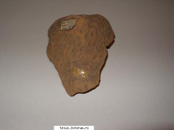 13 - fragment de vas muzeul de istorie aiud sapaturi