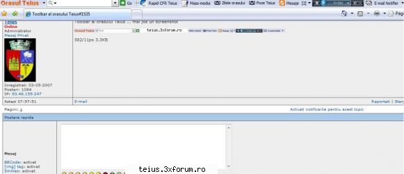 poate e mai mare :) toolbar al orasului teius