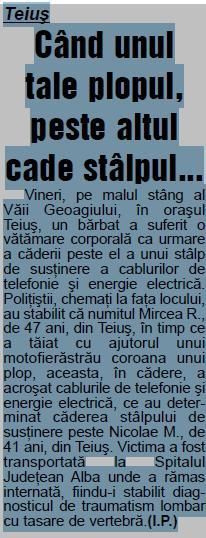 teius
c�nd unul taie plopul, peste altul cade pe malul st�ng al v�ii �n orasul teius, un b�rbat a