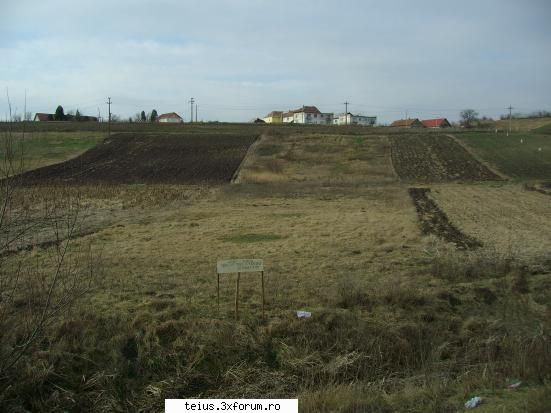 teren situat la iesirea din orasul teius cu deschidere la soseaua nationala e81 spre alba iulia
