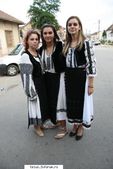 poza oferita de zilele orasului teius - 2007 - poze