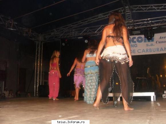 4 zilele orasului teius - 2011