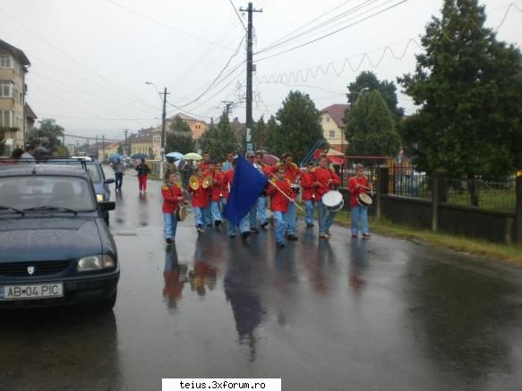 8 zilele teiusului