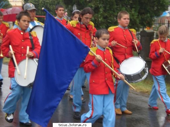 9 zilele teiusului