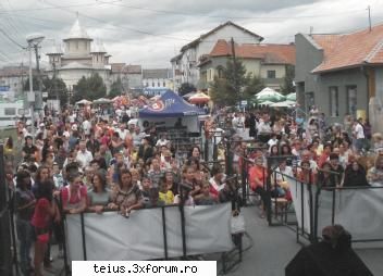 poza din ziarul unirea zilele orasului teius 2010 - 28.08.2010