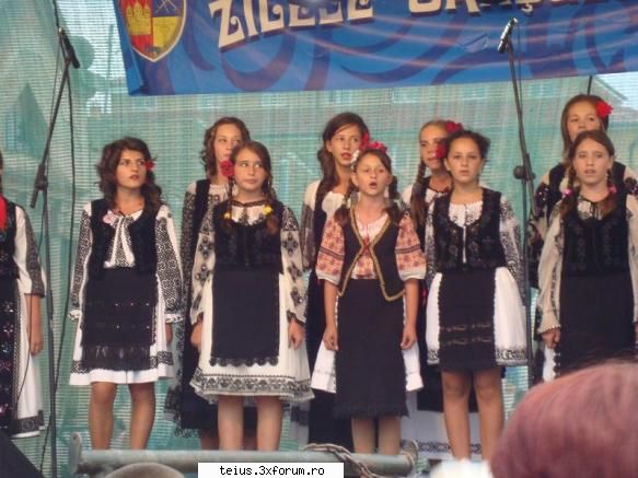 8 zilele orasului teius 2010 - 28.08.2010