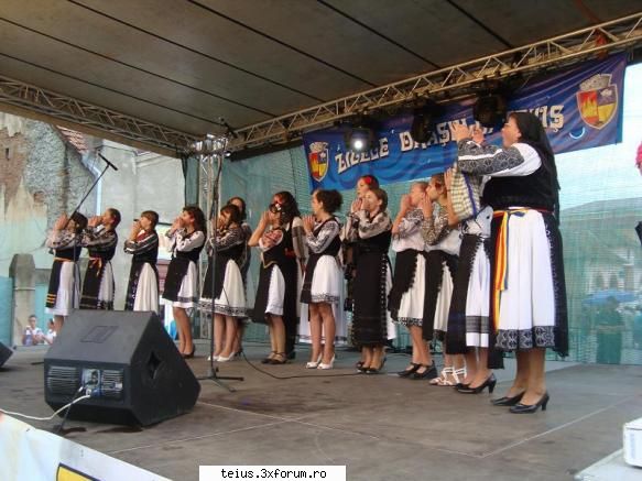 10 zilele orasului teius 2010 - 28.08.2010