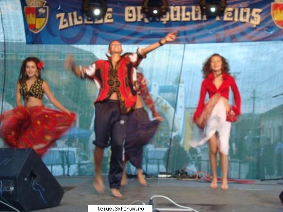 27 zilele orasului teius 2010 - 28.08.2010