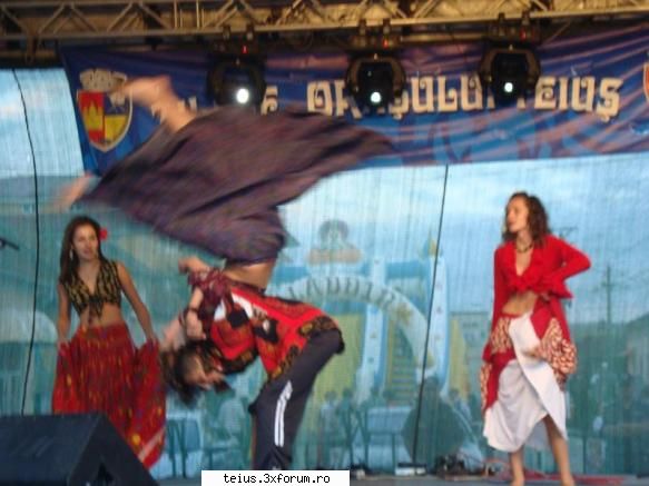 28 zilele orasului teius 2010 - 28.08.2010