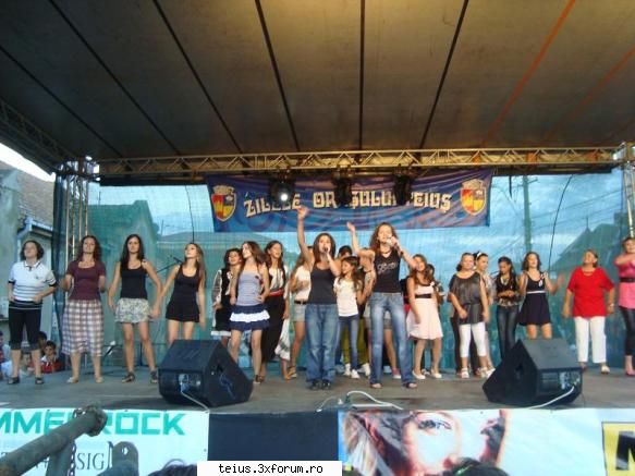 32 zilele orasului teius 2010 - 28.08.2010