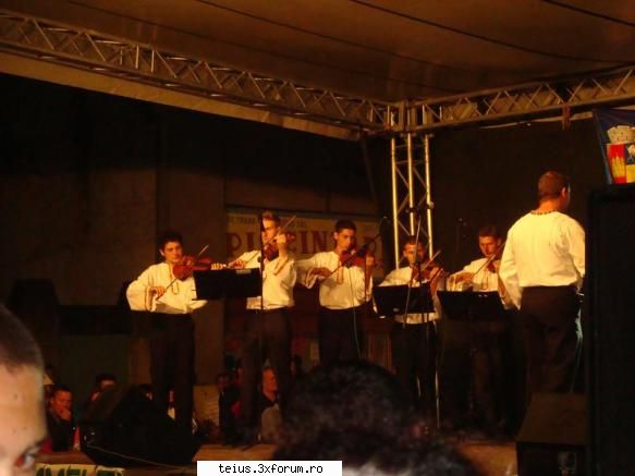 10 zilele orasului teius 2010 - 29.08.2010