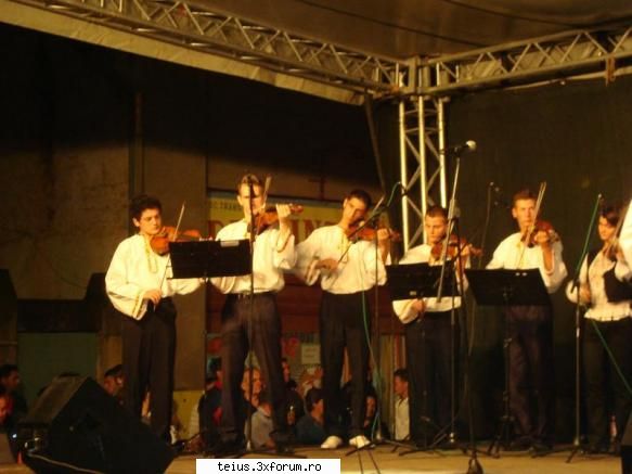 11 zilele orasului teius 2010 - 29.08.2010