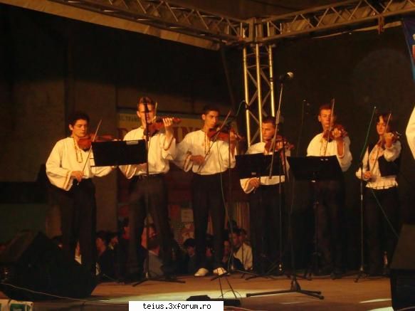 12 zilele orasului teius 2010 - 29.08.2010