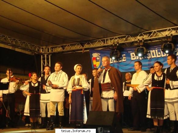 13 zilele orasului teius 2010 - 29.08.2010