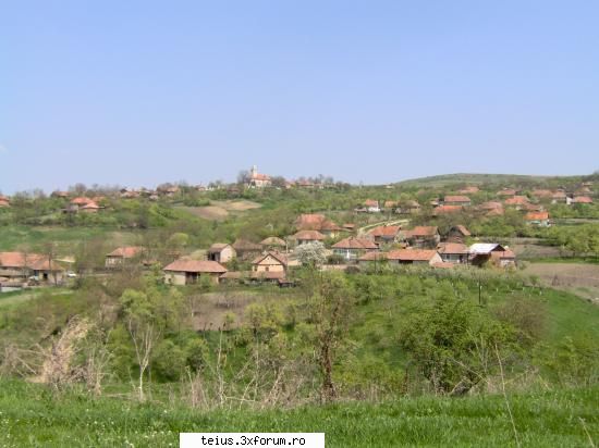 imagine cu petelca de teius