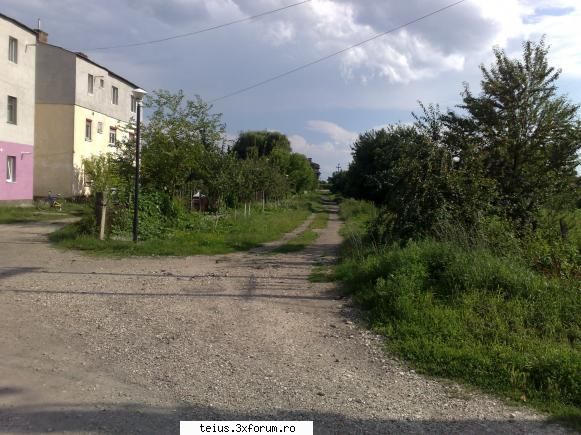 1 str. aleea sportiva