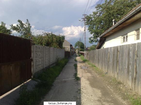 1 str. crisan