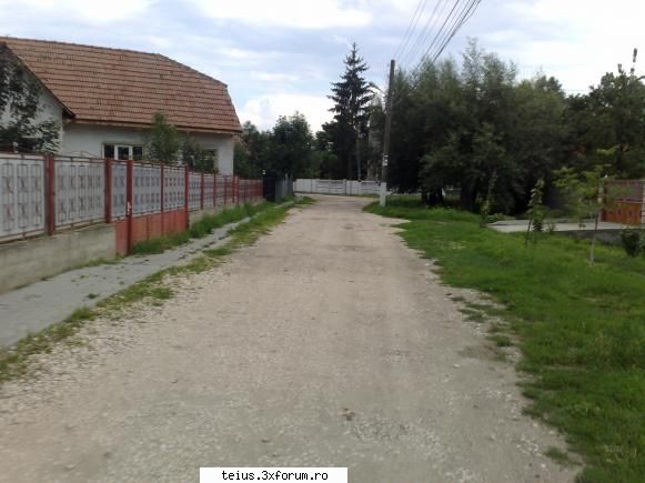 5 str. dorobanti