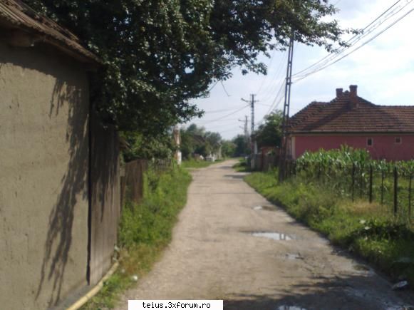2 str. ion creanga
