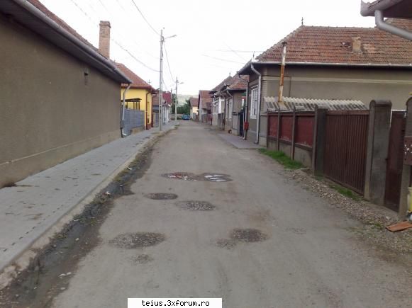 1 str. rosiori